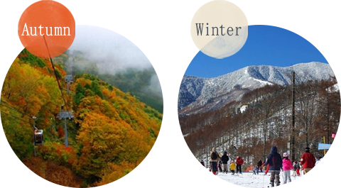 Hirugami Onsen and popular tourist spots