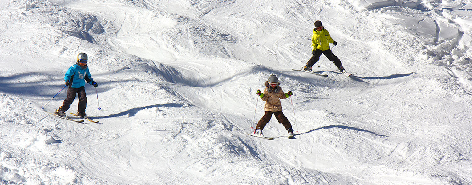 12月～2月滑雪及夜間之旅
