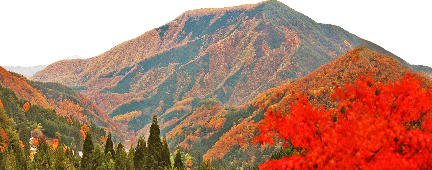 10月～11月水果狩獵及沙鹽浴